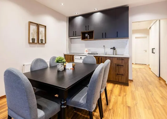 Charming Bright 4bd2bath Balcony Pad #368 公寓